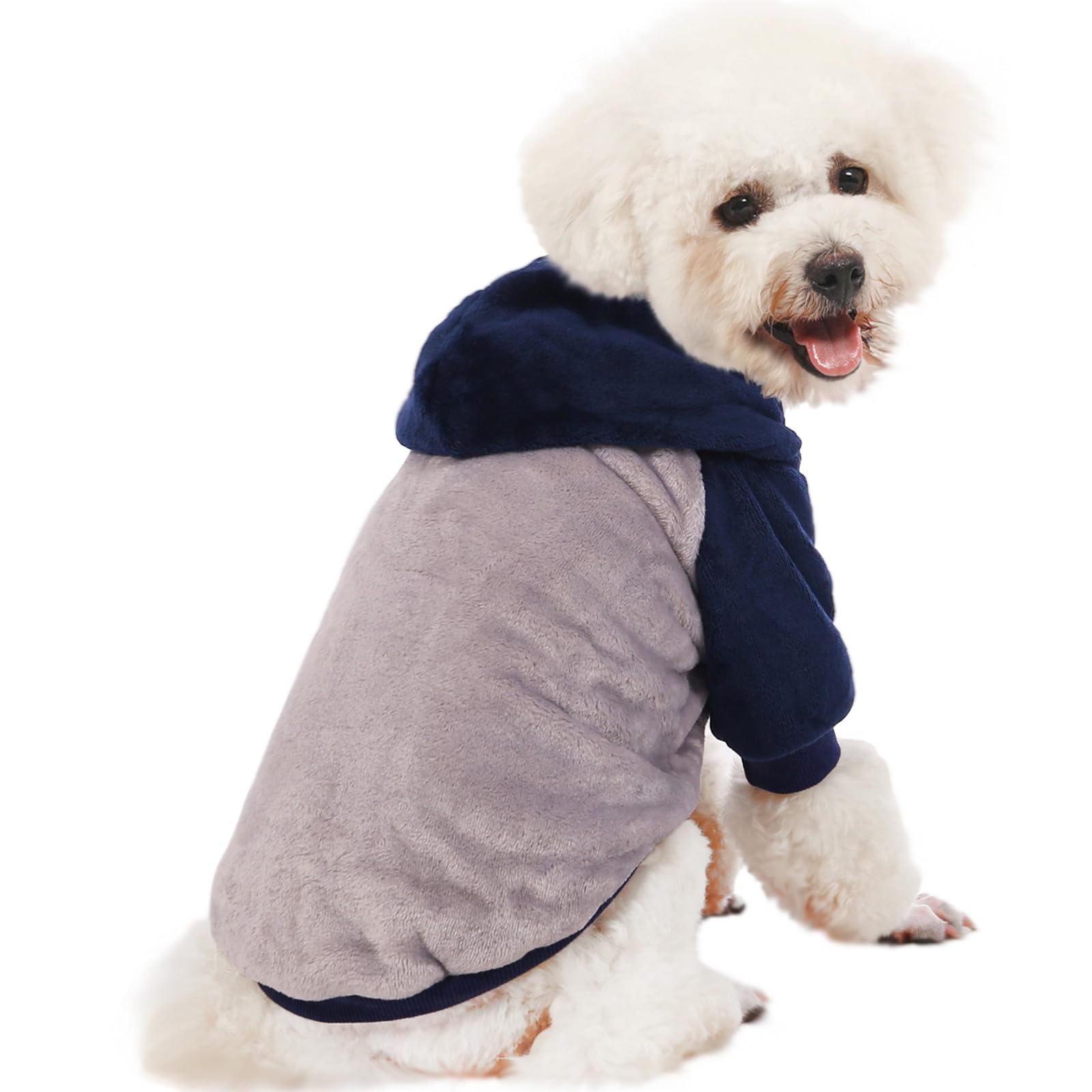FabriCastle small dog hooded sweater in living room, cozy everyday wear demonstration.