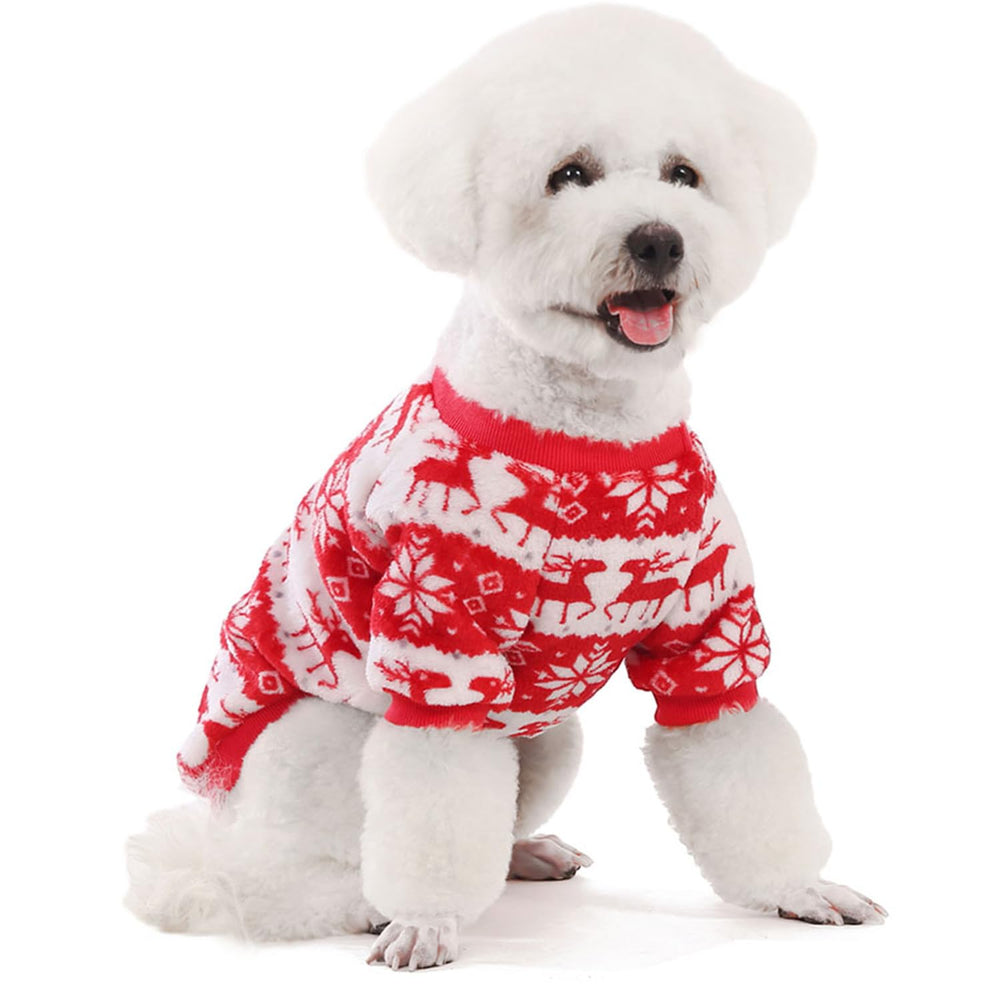 Fabricastle dog wearing sweater in winter walk for warmth.