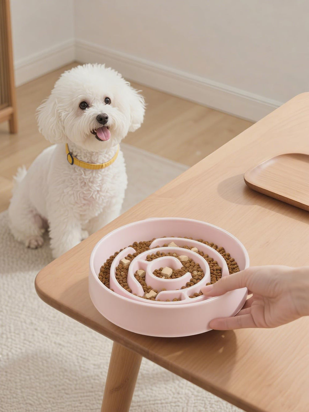 Facdiary all-breed friendly bowl supports dogs and cats during mealtime for shared pacing.