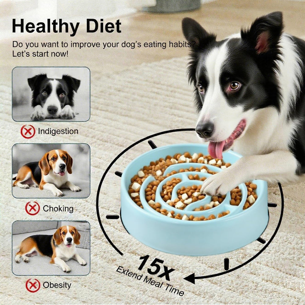 Facdiary Ceramic Slow Feeder Bowl Blue – anti-slip base keeps bowl steady during meals.