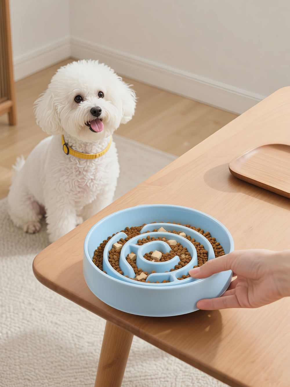Facdiary Ceramic Slow Feeder Bowl Blue – dishwasher-safe design for easy cleanup.