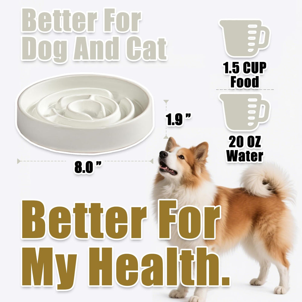 Facdiary ceramic slow-feeder bowl ridges design slows meals for mindful feeding.