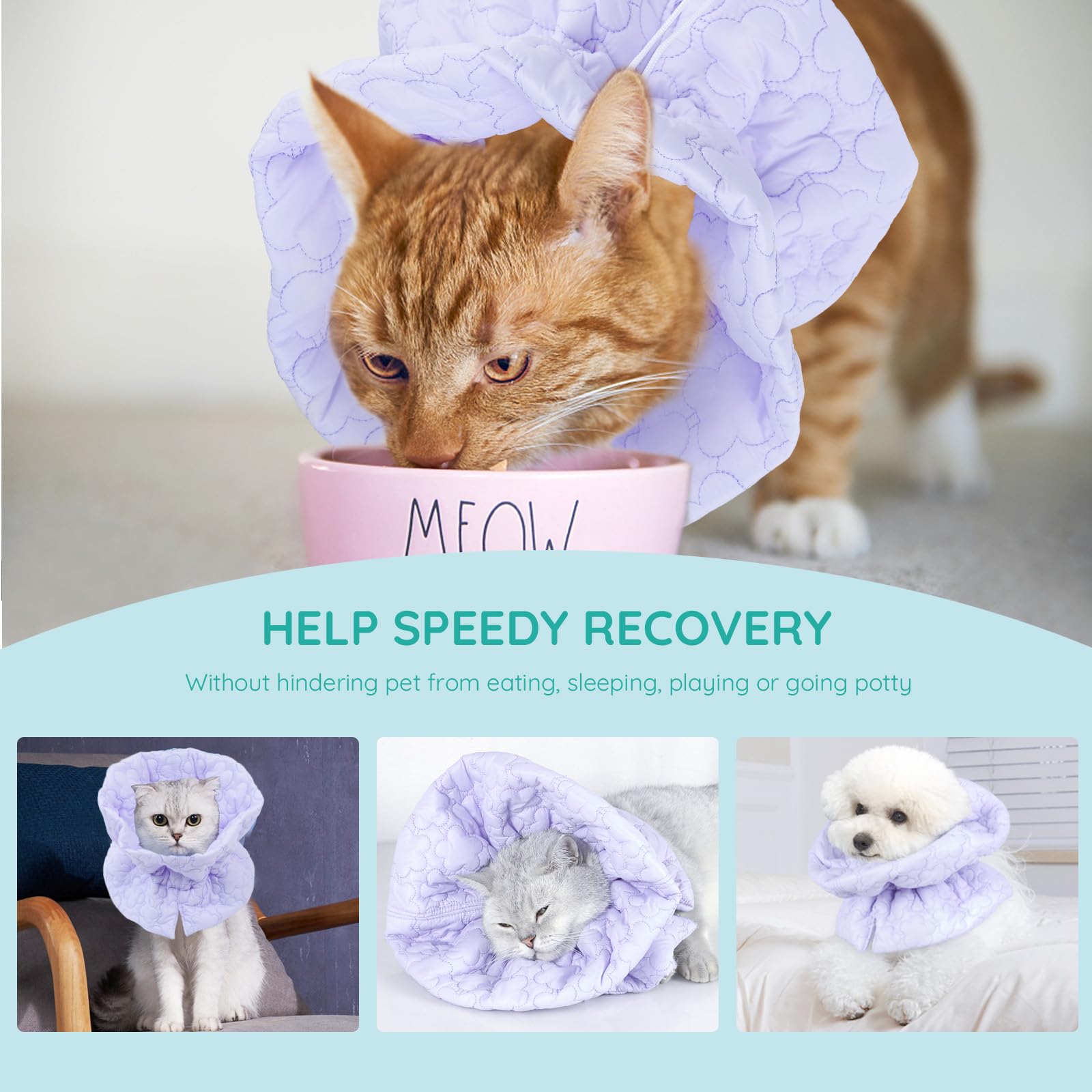 FACULX cat recovery collar adjustable strap demonstrates secure fit for various neck sizes