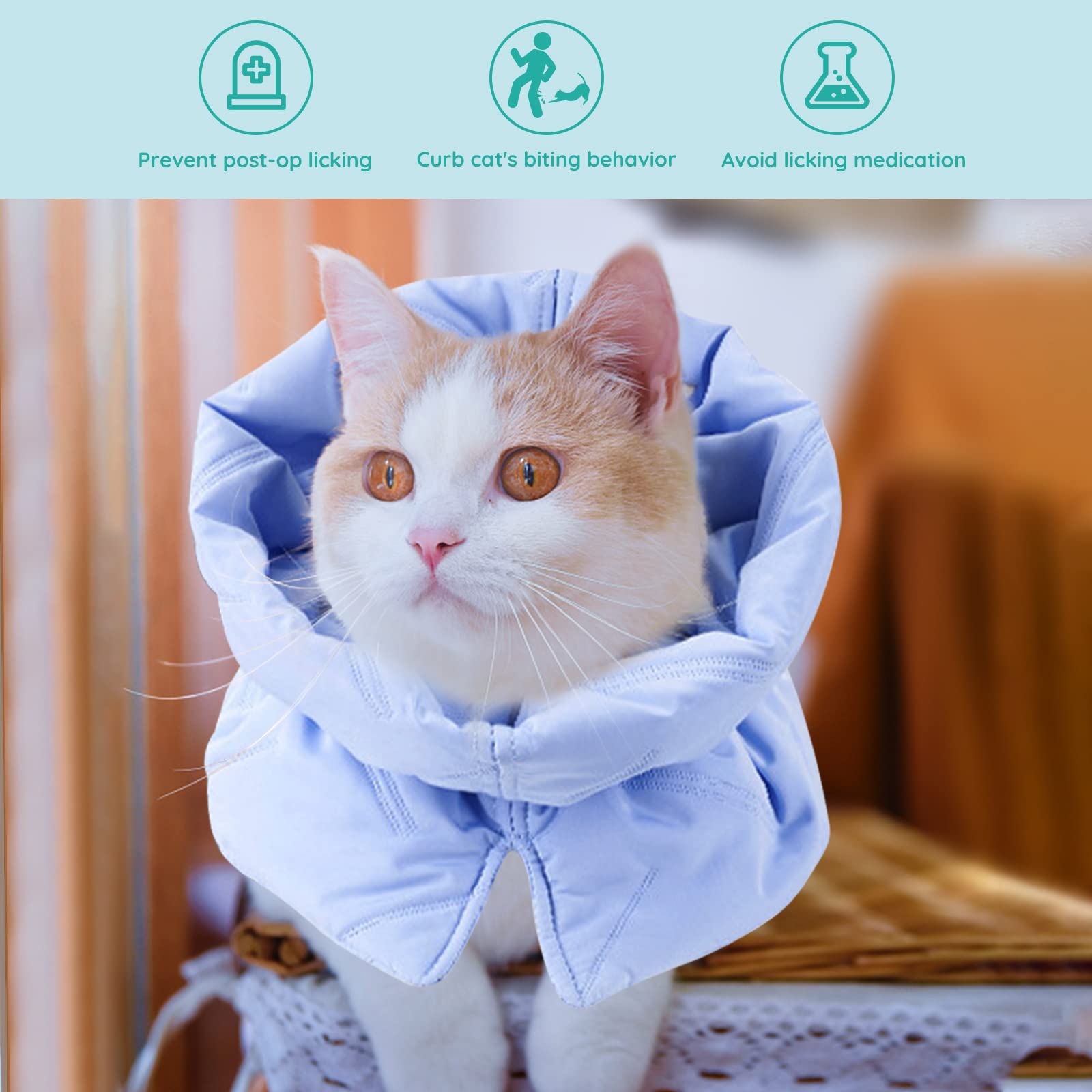 FACULX Cat Recovery Collar blue adjustable strap demonstrates customizable fit for comfortable healing