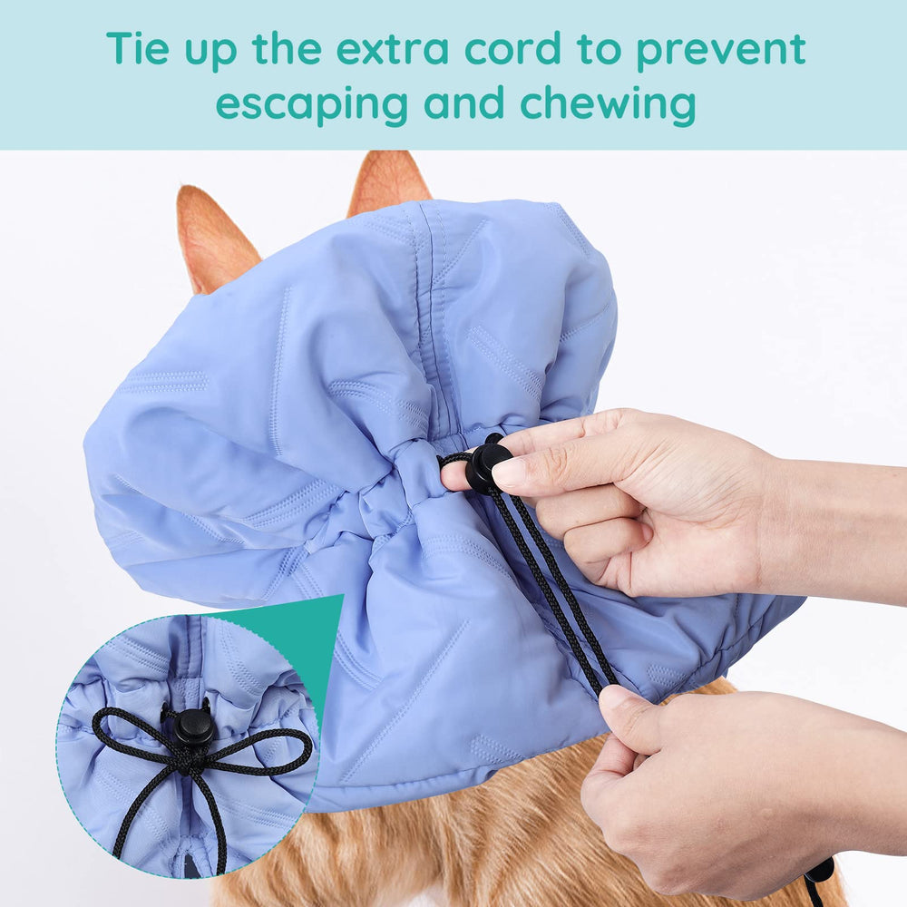 FACULX Cat Recovery Collar blue on-pet use shows daily wear without hindering eating or sleeping