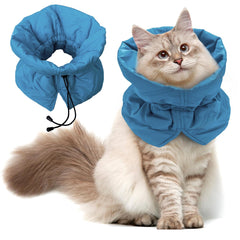 FACULX cat recovery collar Lake Blue worn, protecting surgical wounds while cat relaxes.