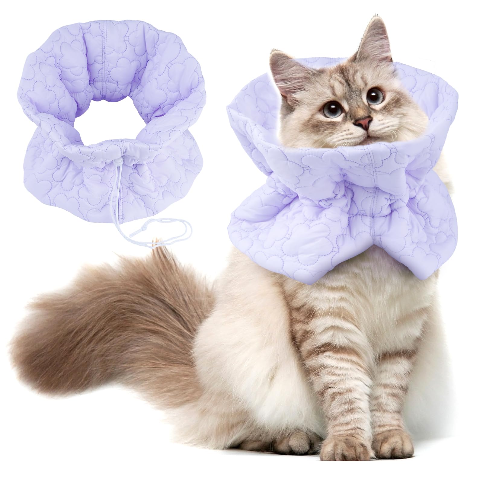 FACULX cat recovery collar purple front view showing lightweight protection against licking