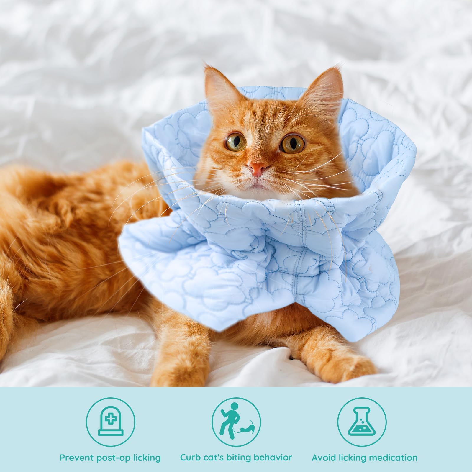 FACULX Cat Recovery Collar soft blue side view comfortable daily wear during healing