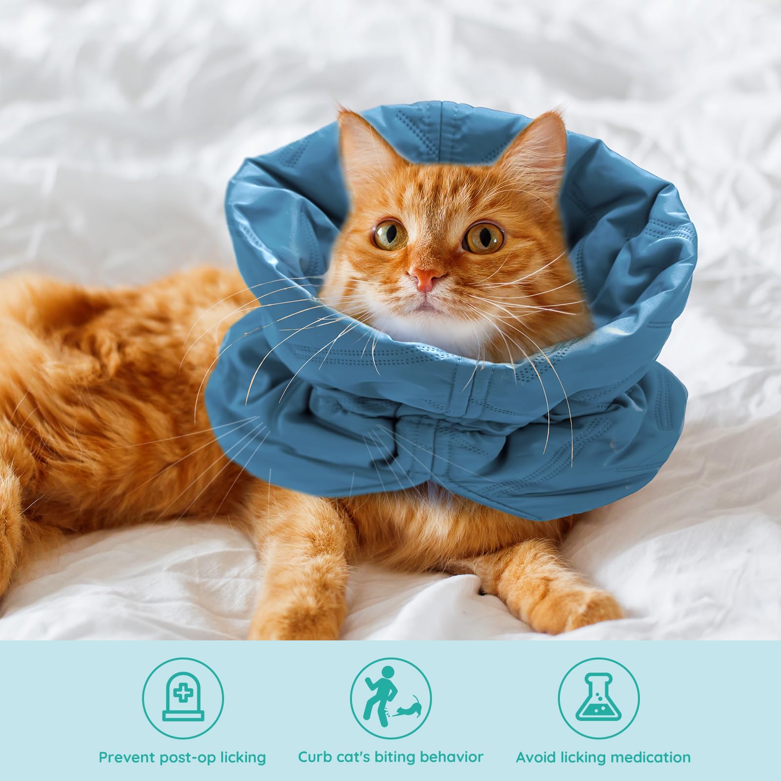 FACULX cat recovery collar close-up showing soft sponge fill for comfort.