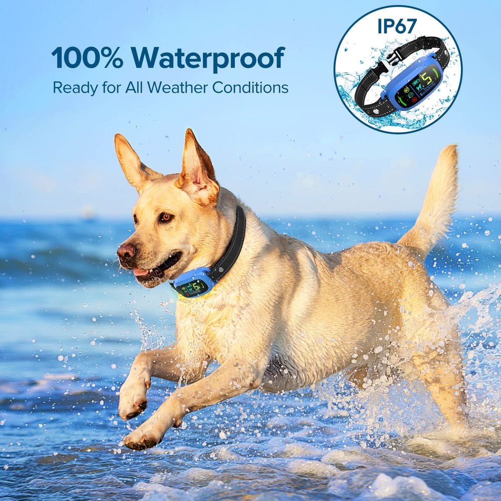 FAFAFROG bark collar blue worn on dog illustrates waterproof versatility