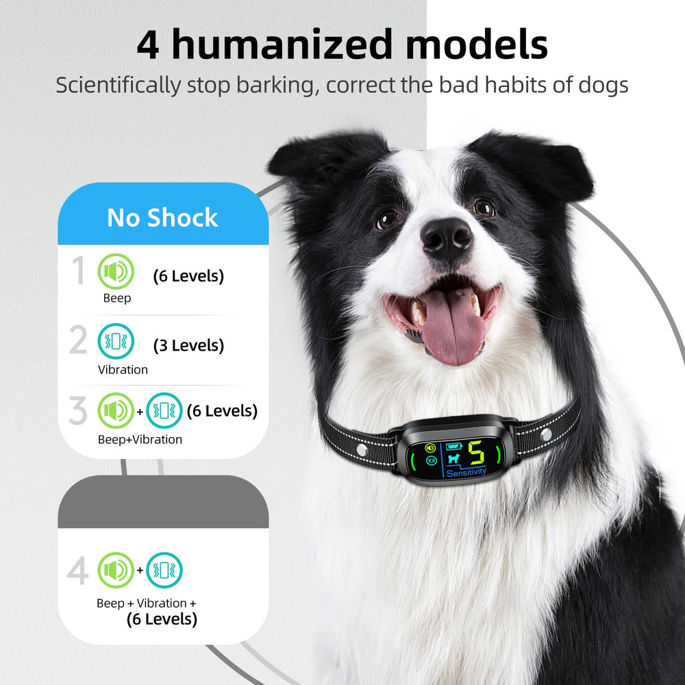 FAFAFROG bark collar IP67 waterproof design enables training by pool or rain.