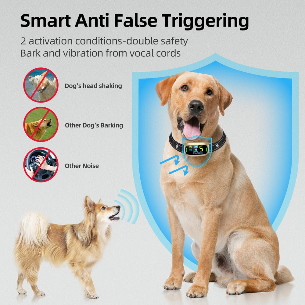 FAFAFROG waterproof collar demonstrates pool-friendly training in any weather