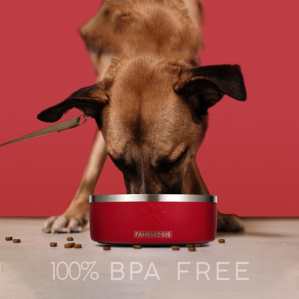 FAHRMOSIS BPA-free stainless-steel-bowl is rust-resistant and easy to clean
