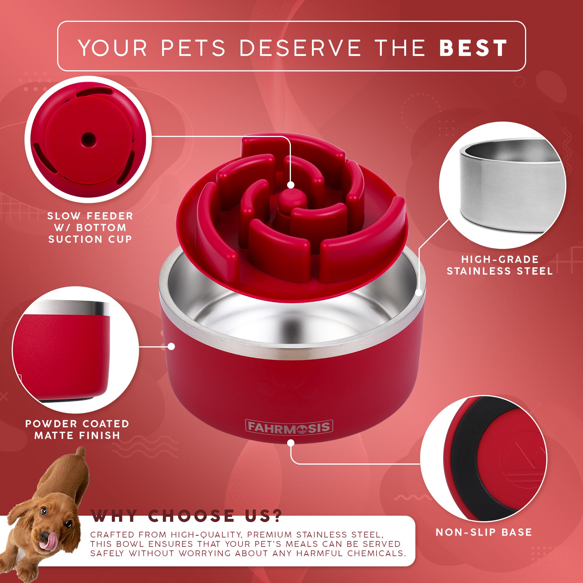 FAHRMOSIS slow-feeder-insert slows eating for better portion control
