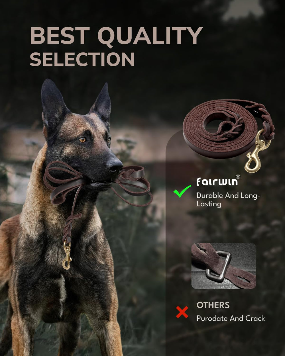 Fairwin brown leather dog leash large dog use highlights strength and control.