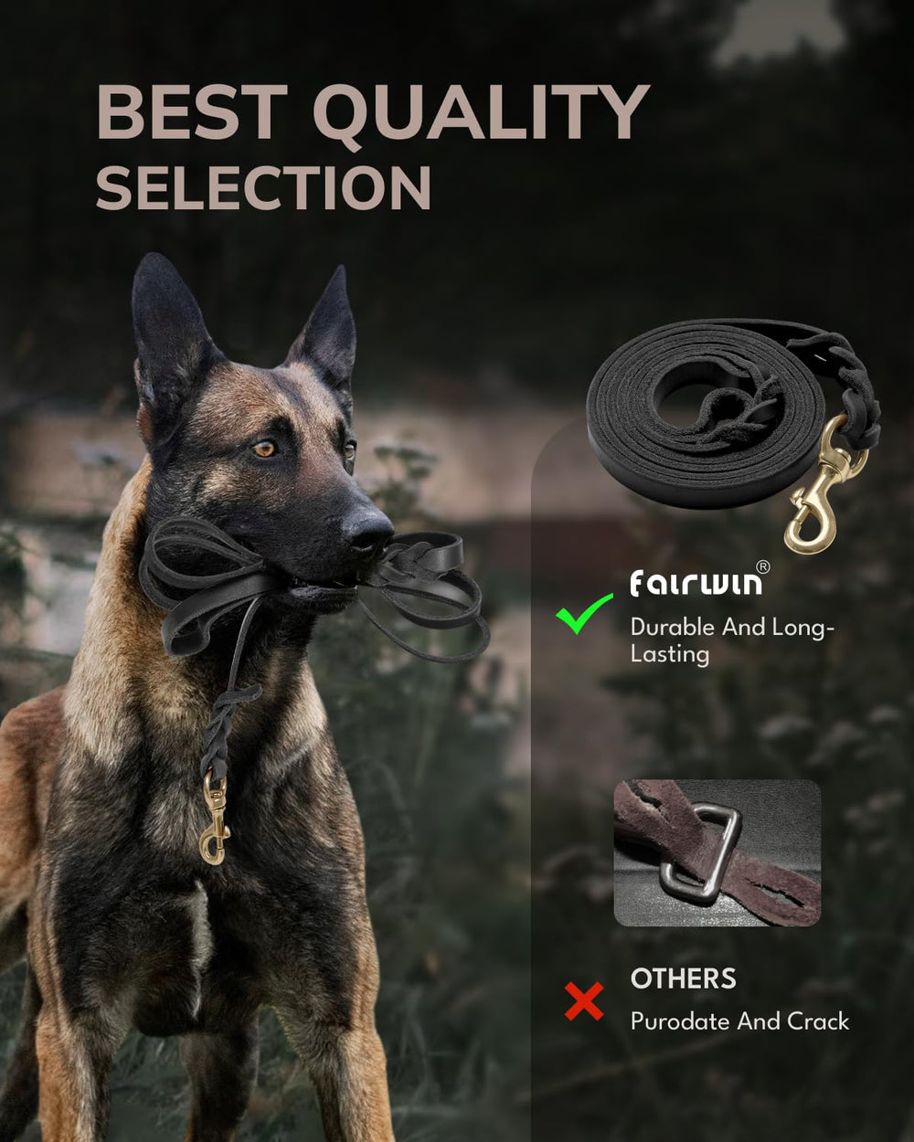 FAIRWIN exclusive packaging shows gift-ready dog leash packaging