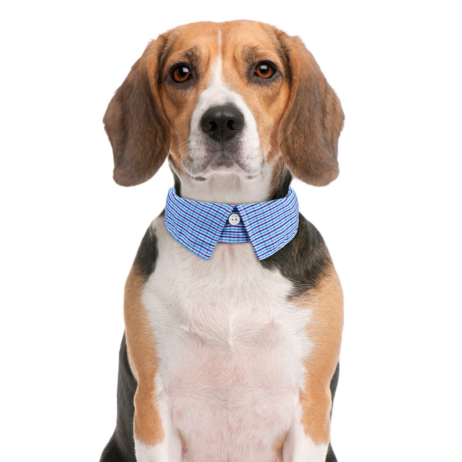 Faleela adjustable bow-tie dog collar fits multiple sizes for versatile styling