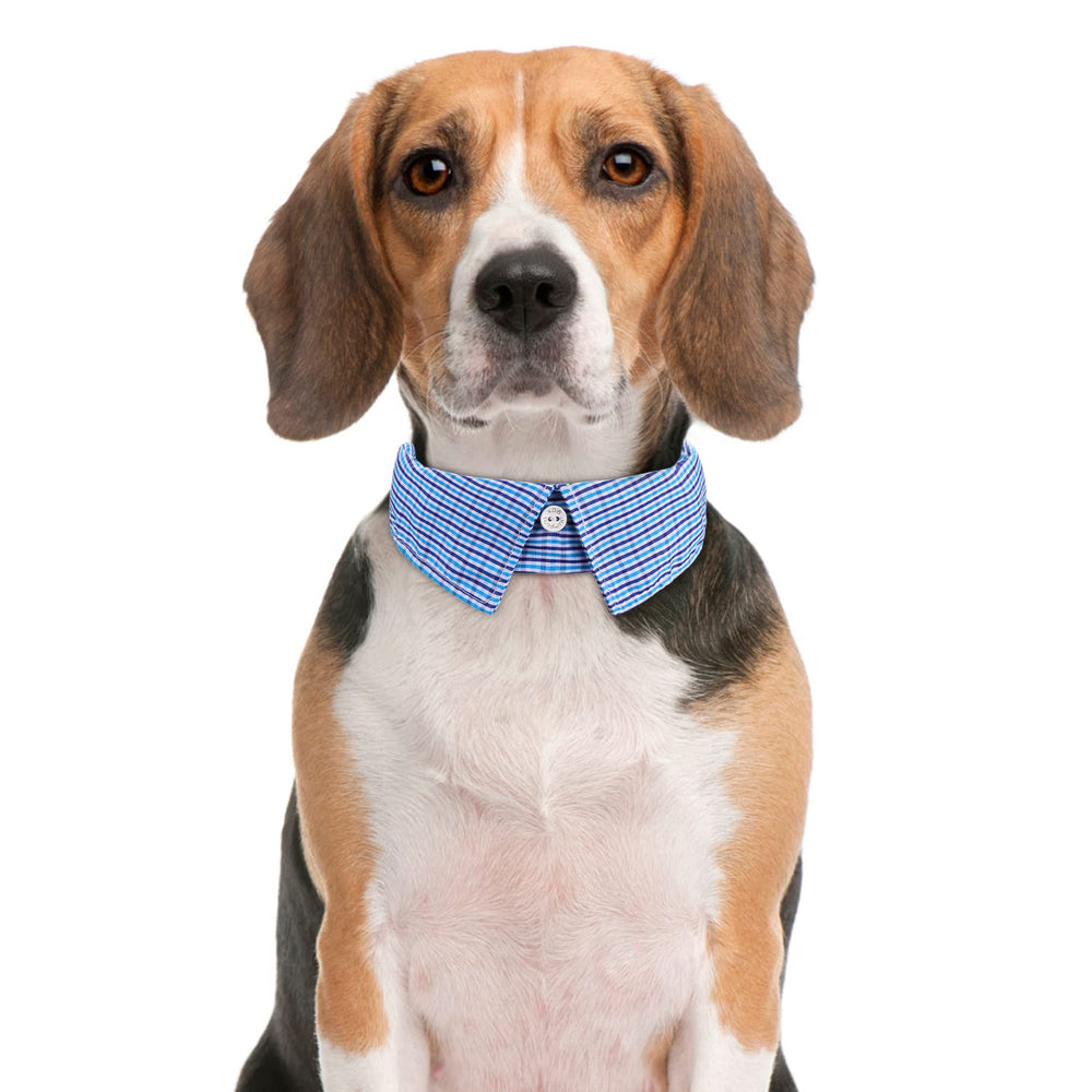 Faleela adjustable bow-tie dog collar fits multiple sizes for versatile styling