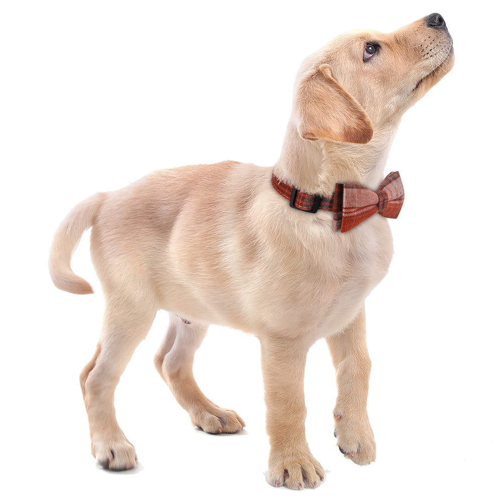 Faleela cotton designer fabric collar orange offers soft touch