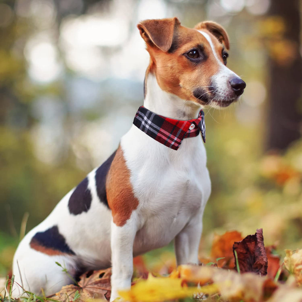 Faleela cotton collar detail shows durable stitching and soft fabric.