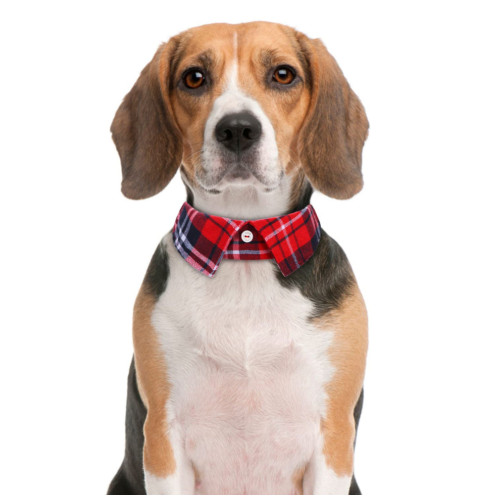 Faleela adjustable bow tie collar for customizable cute looks.