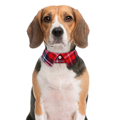 Faleela adjustable bow tie collar for customizable cute looks.