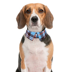 Faleela dog collar quick-release buckle for safe, easy on/off