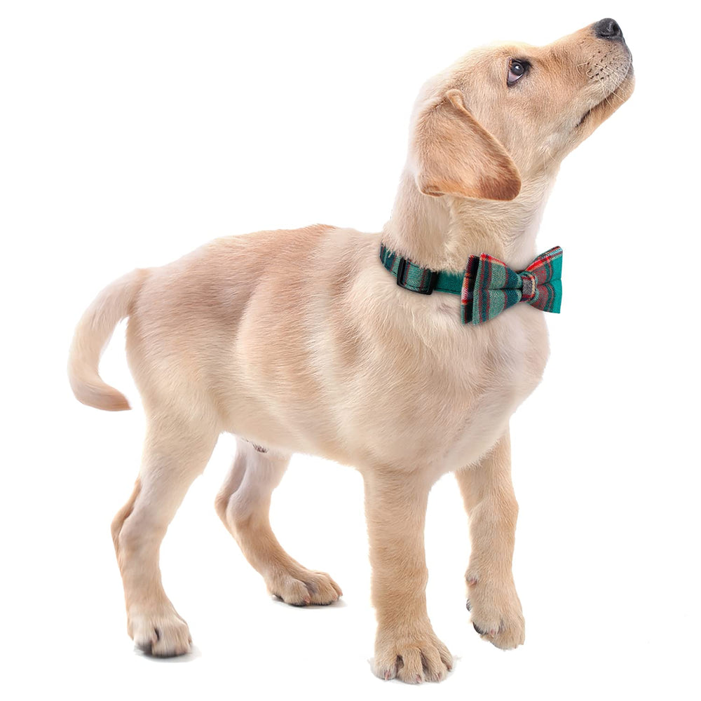 Faleela detachable bowtie for easy styling and care.