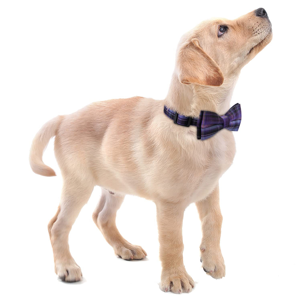 Faleela Neck measurement guide collar size reference for perfect fit