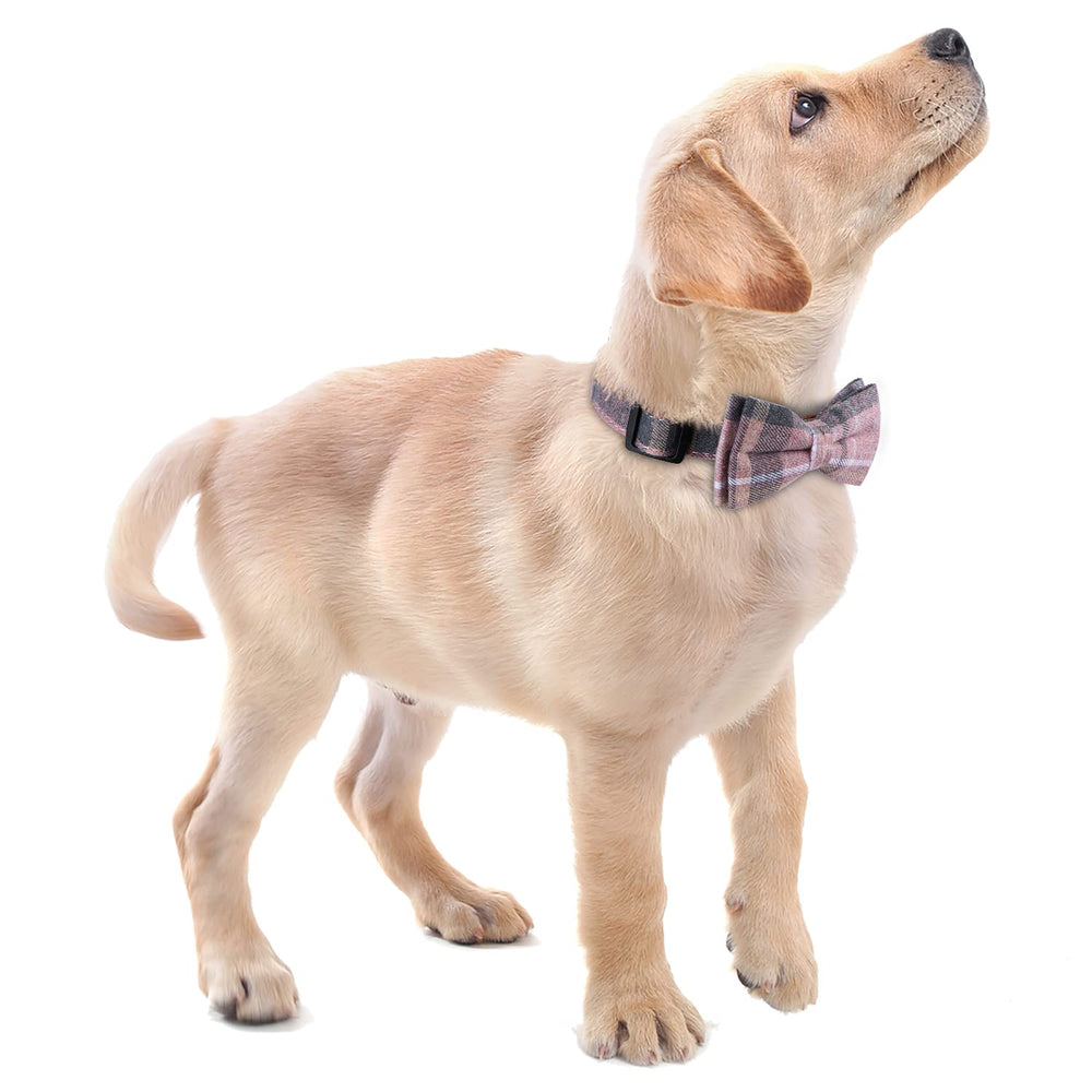 Faleela party-ready collar shown for birthdays and celebrations with style