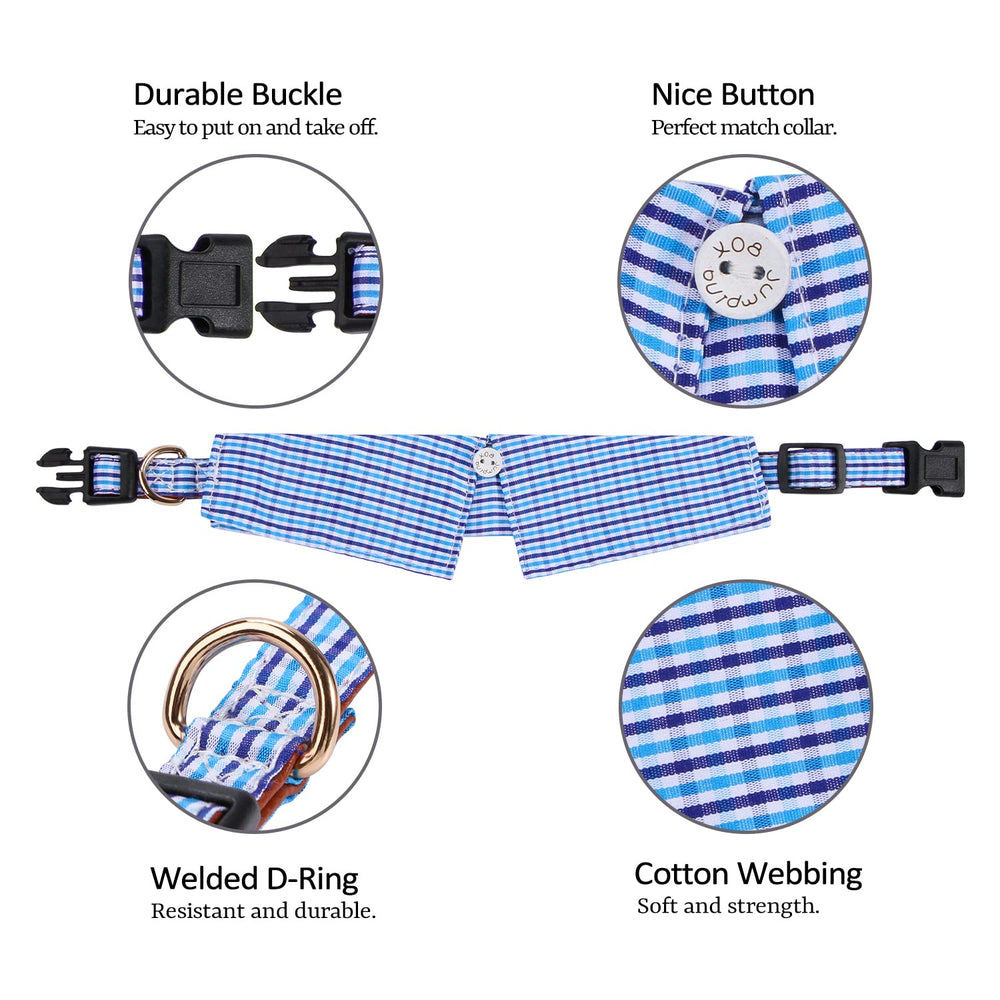 Faleela quick-release buckle dog collar demonstrates easy removal for quick wearing