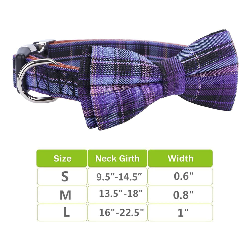 Faleela Stainless steel buckle collar close-up emphasizes strength and long-lasting wear