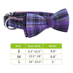 Faleela Stainless steel buckle collar close-up emphasizes strength and long-lasting wear