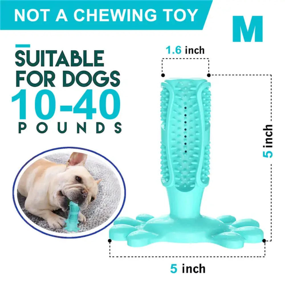 Falnatco bone-design detail highlights chew-friendly texture and playfulness