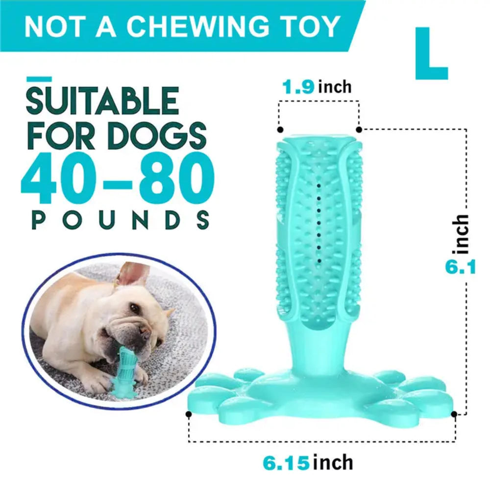 Falnatco gum-massage texture shown for gentle, satisfying chewing action