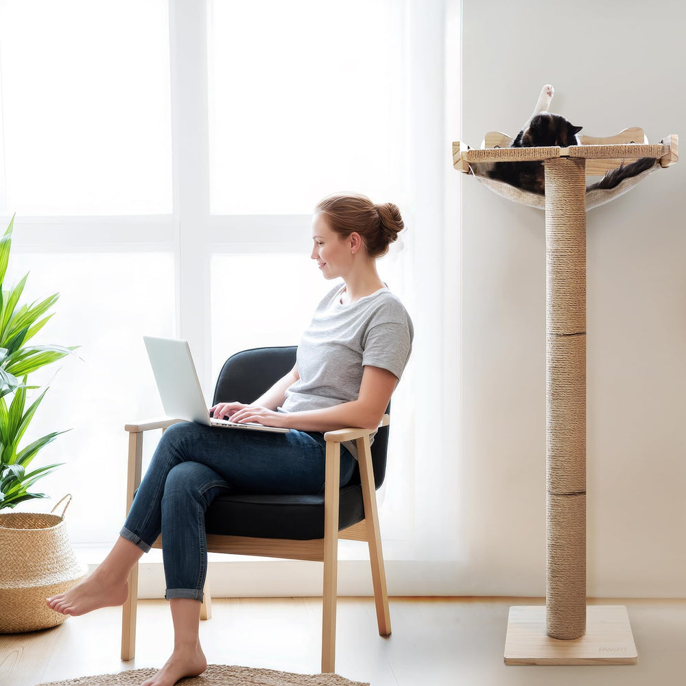 Famifit cat window perch 360 platform provides elevated view for bird watching and curiosity.