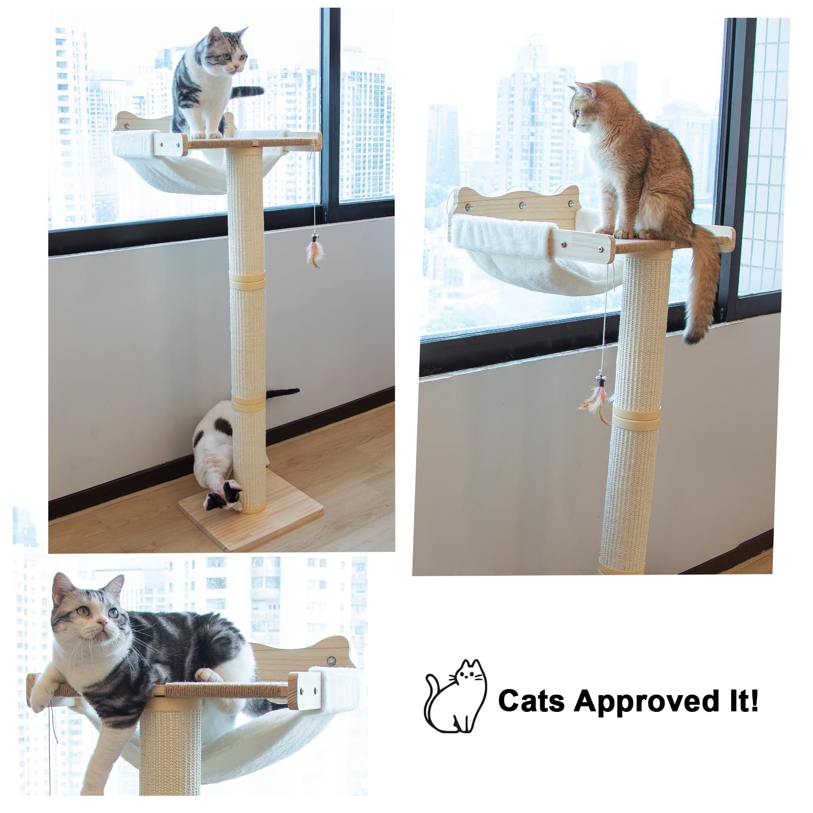 Famifit hammock and plush perches invite napping and play