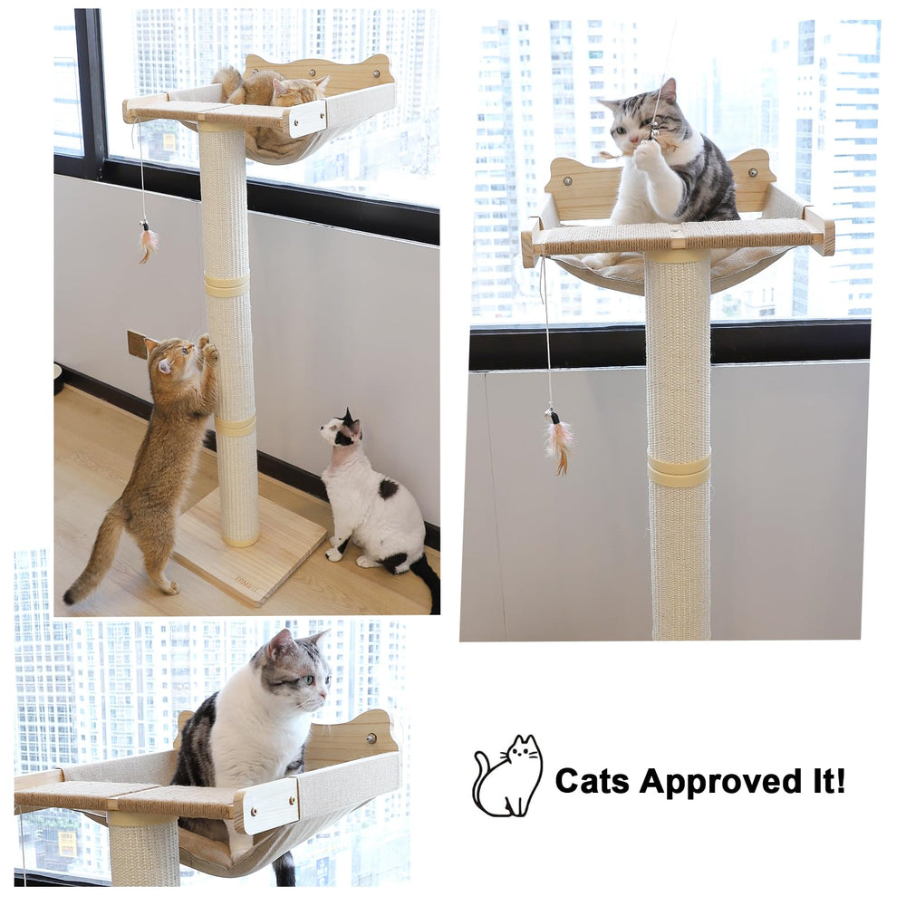 Famifit soft perches and cozy hammock create comfy lounging and play zones