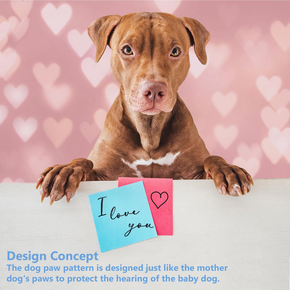 Famikako light blue-gray shell with paw accents for calming protection
