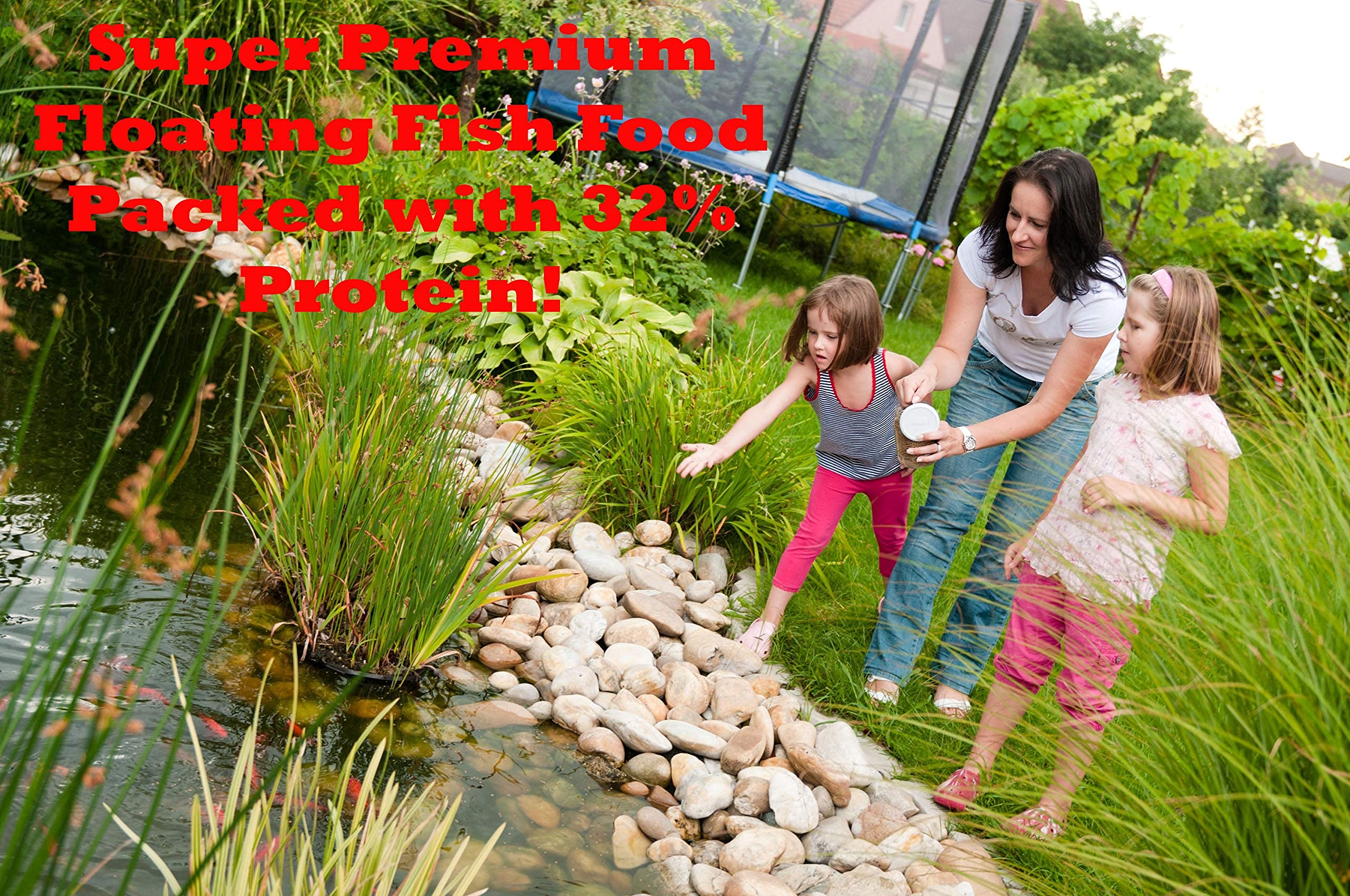FAMILY FARM AND FEED pond surface feeding scene with koi at the surface