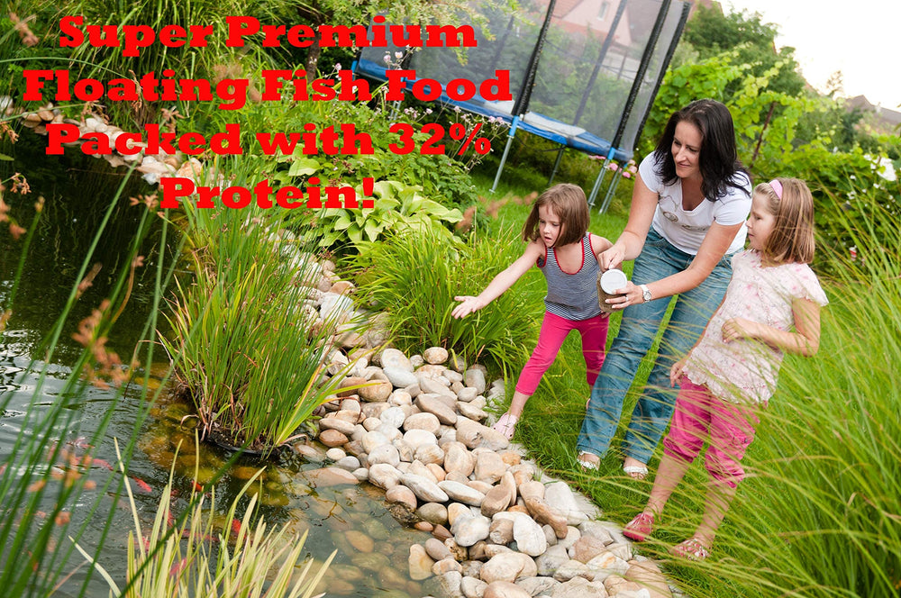 FAMILY FARM AND FEED pond surface feeding scene with koi at the surface