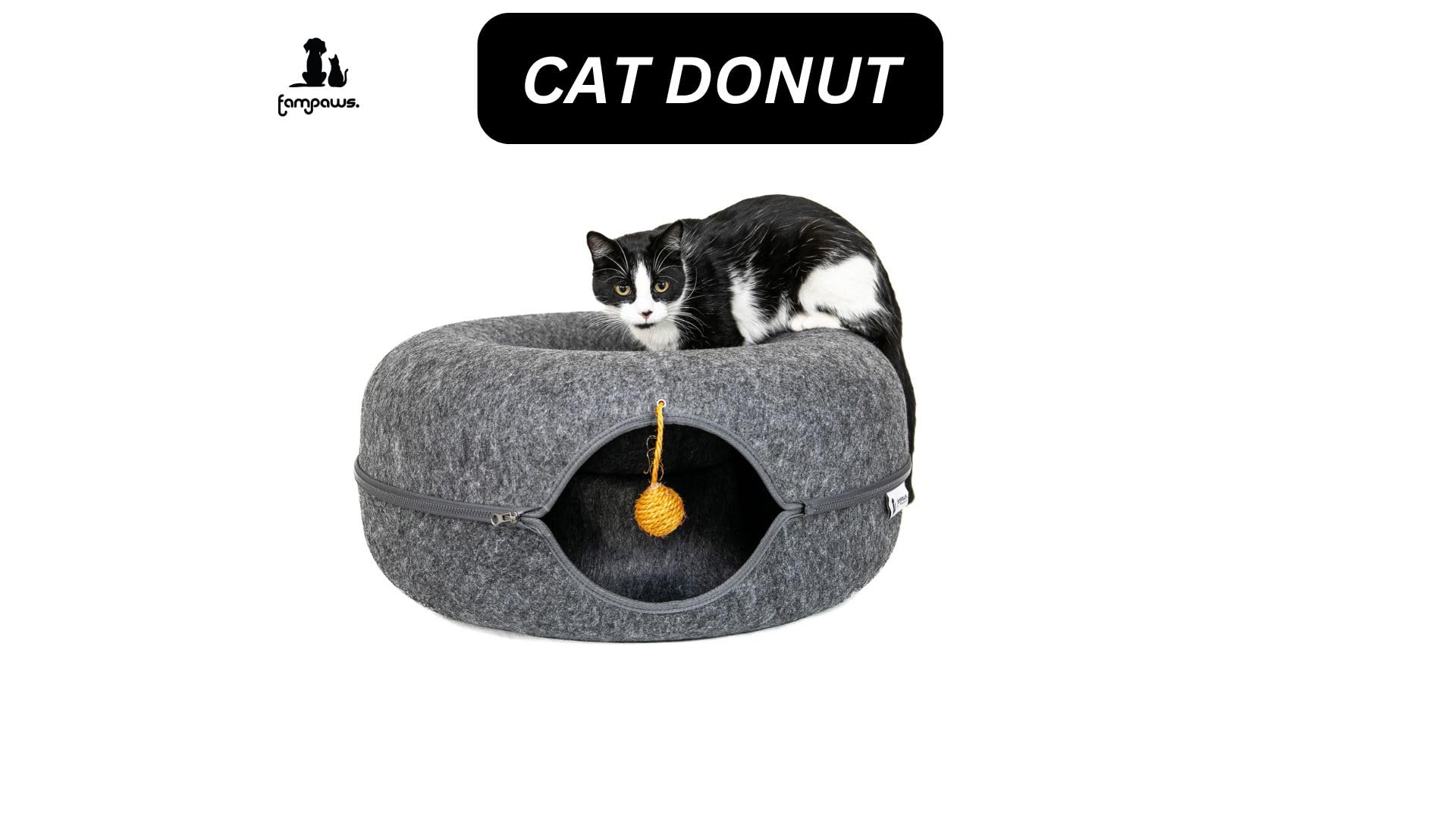 FAMPAWS anti-collapse structure supports stable lounging and safety