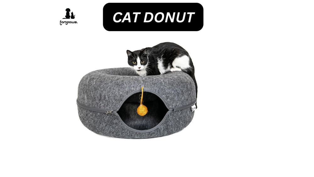 FAMPAWS anti-collapse structure supports stable lounging and safety