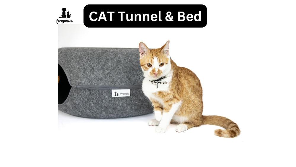 FAMPAWS donut bed interior view shows cozy lounging area