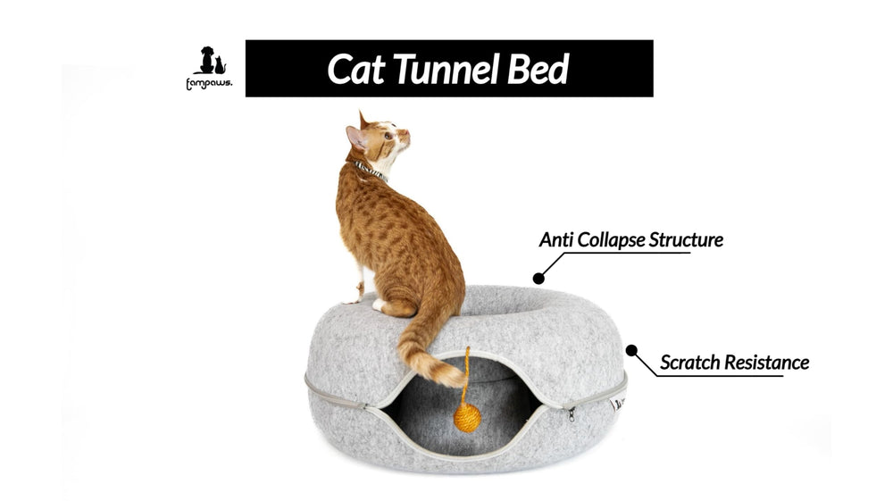 FAMPAWS large ball with bell toy adds interactive stimulation.