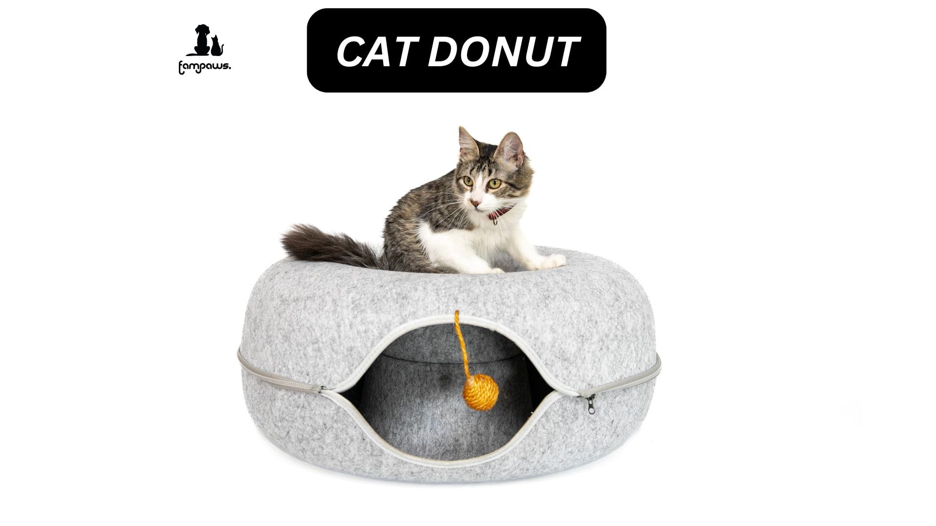FAMPAWS large multi-cat space designed for shared play and rest.