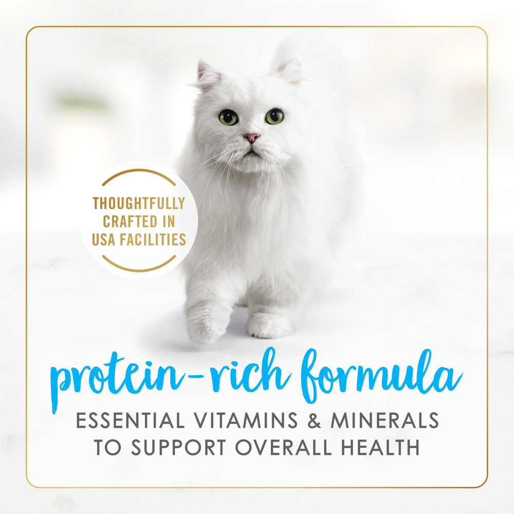 Fancy Feast cat eating during mealtime demonstrates appealing aroma and satisfaction.