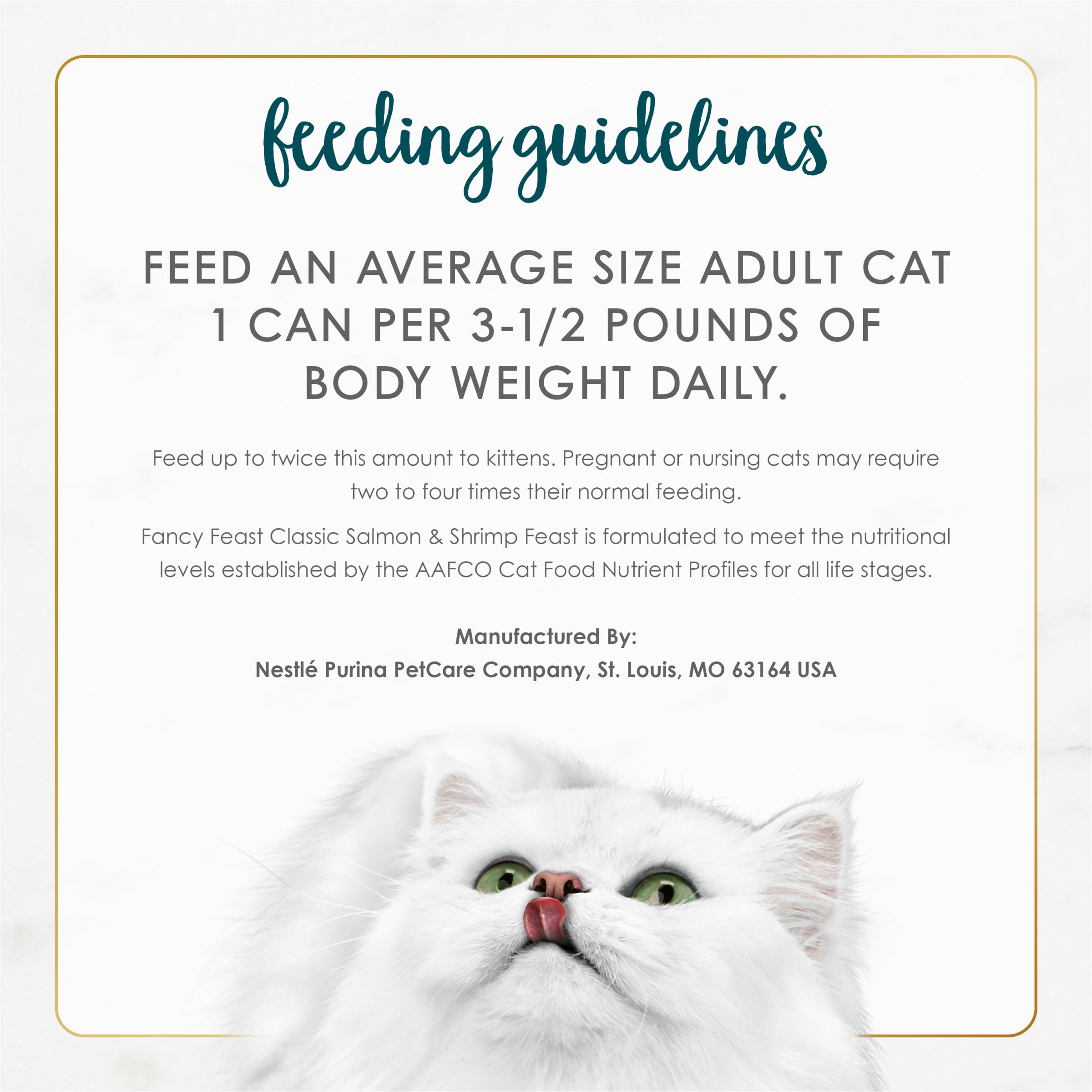 Happy cat enjoying a Fancy Feast meal highlighting palatability.
