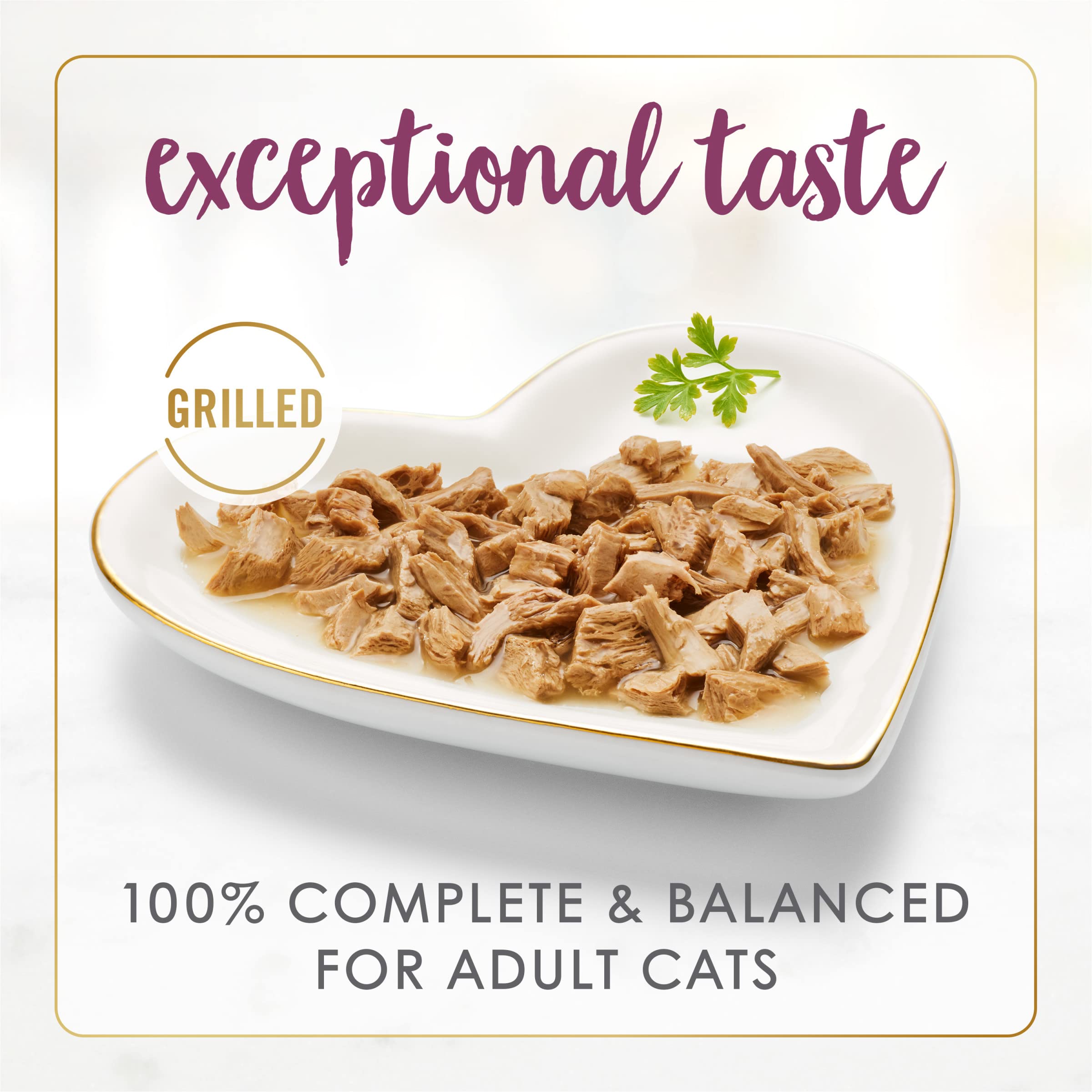 Fancy Feast cat enjoying-wet-food demonstrates appealing texture during mealtime.