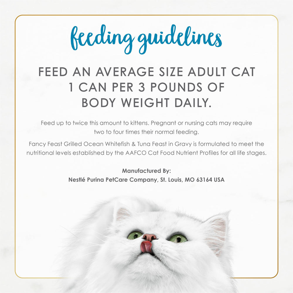 Fancy Feast cat enjoys ocean whitefish tasting during feeding time